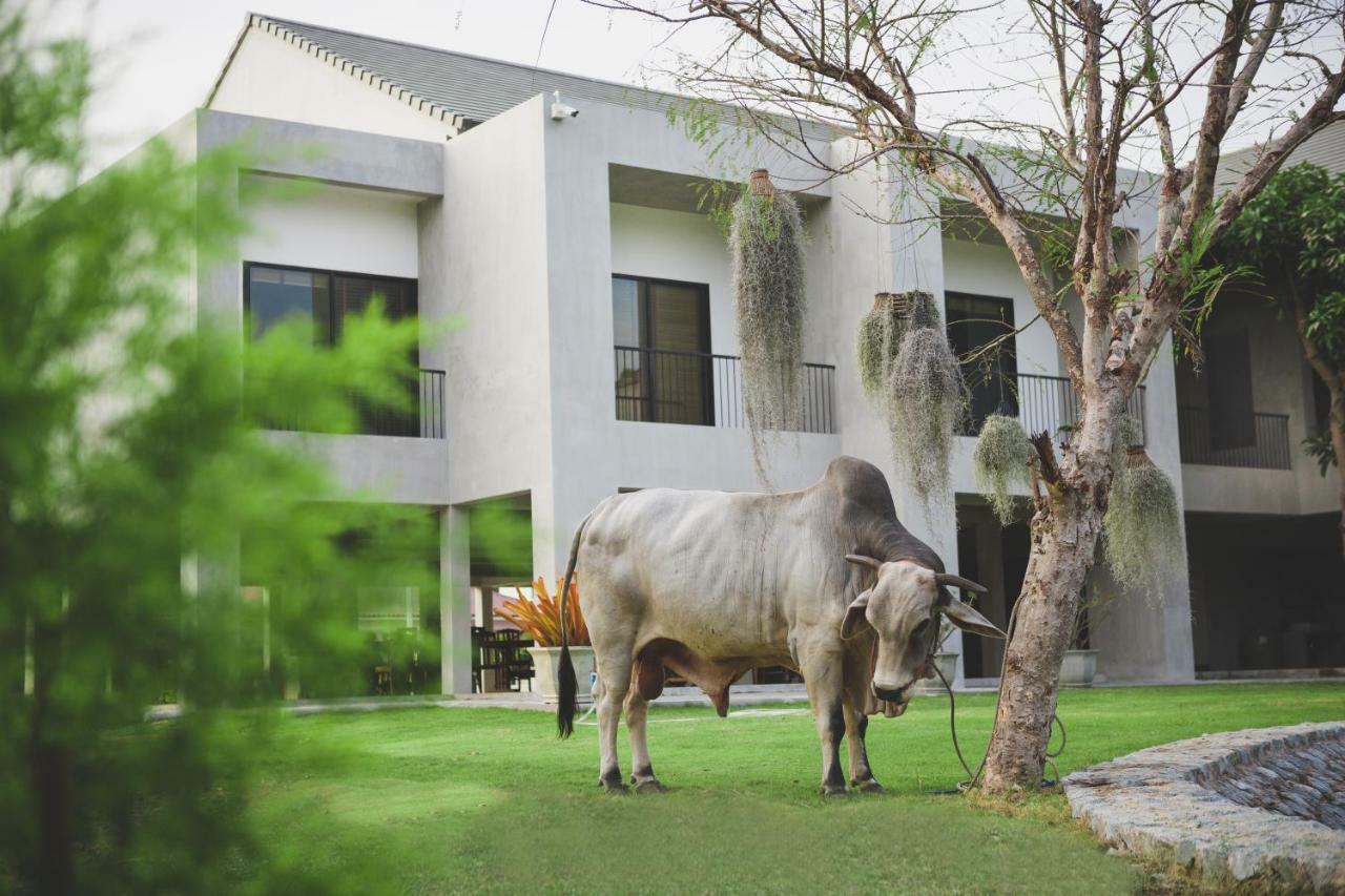 פאטאיה Purida Garden Resort מראה חיצוני תמונה